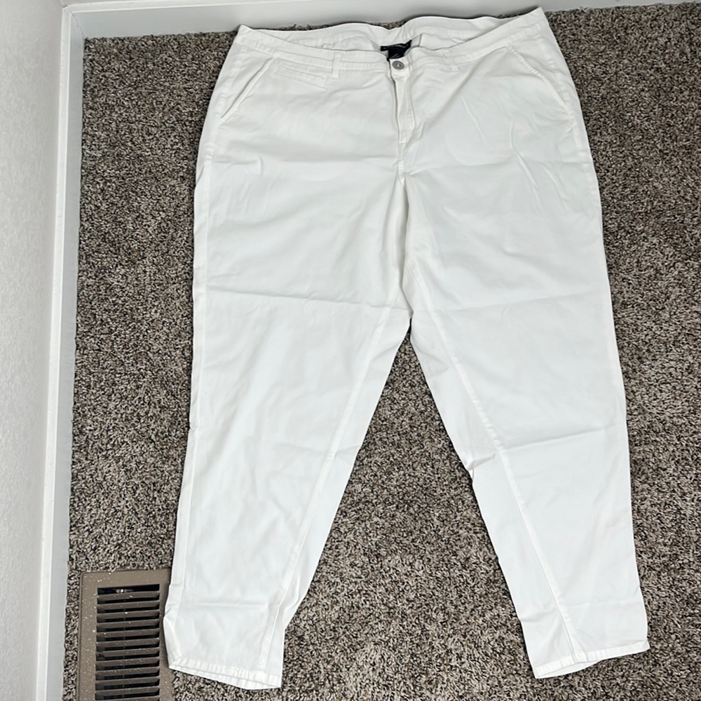 Lane Bryant pants